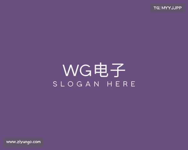 关于WG电子